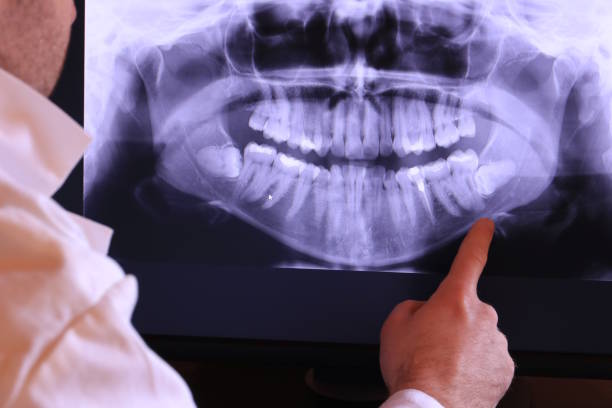 Best Emergency X-Rays and Diagnostics in Ironwood, MI